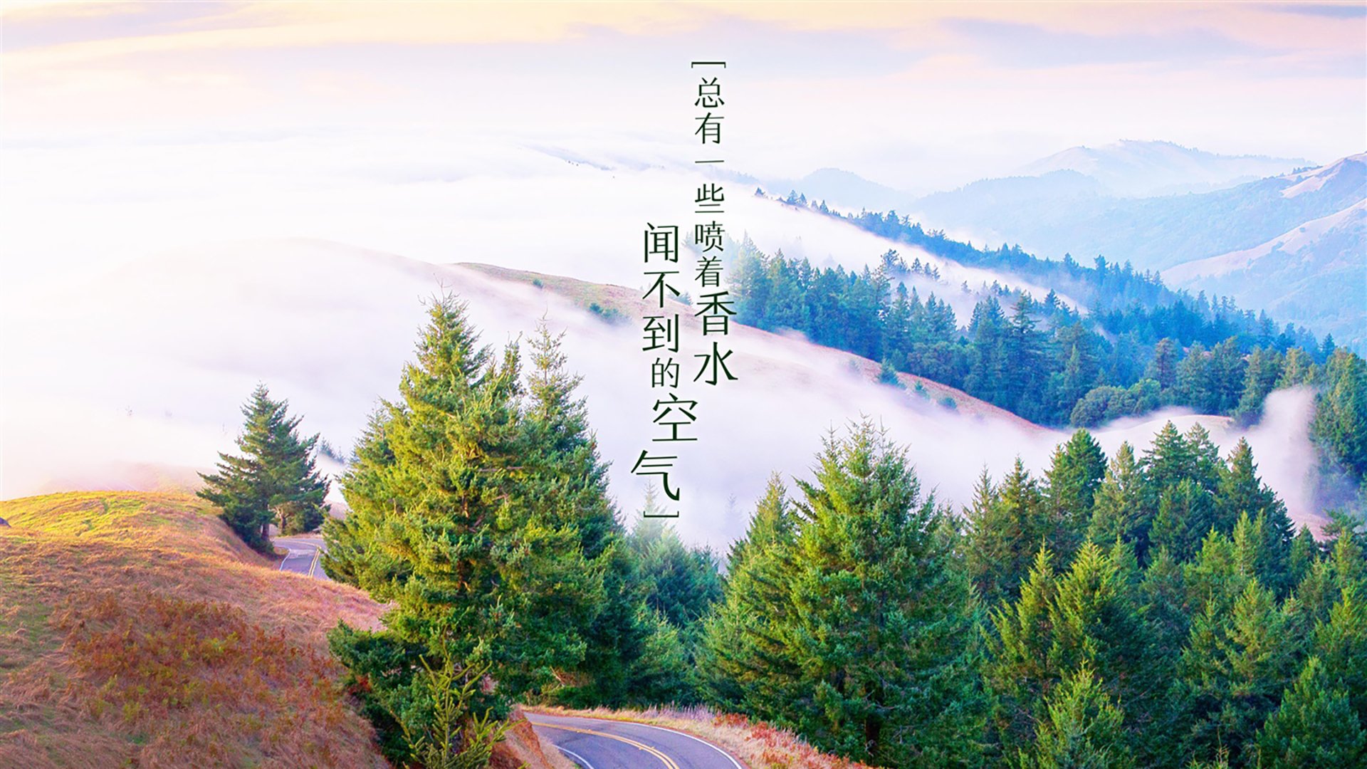巴尔干闪电，保加利亚如何用一场完美风暴横扫意大利