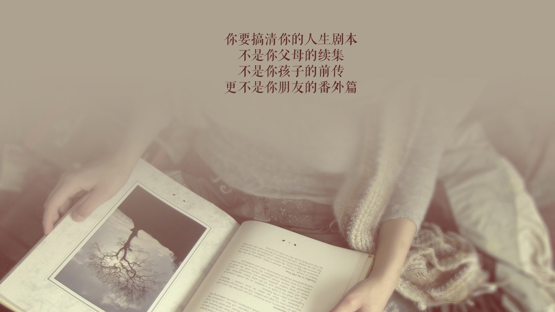 不朽的逆鳞，当日本战车碾过半场，波斯锋刃如何刺穿桑巴的六星幻梦？